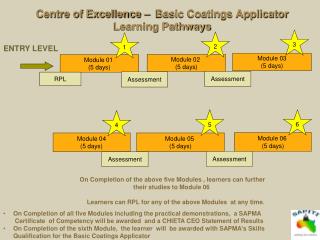 Centre of Excellence – Basic Coatings Applicator Learning Pathways
