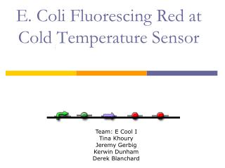 E. Coli Fluorescing Red at Cold Temperature Sensor