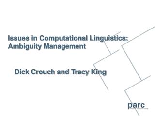 Issues in Computational Linguistics: Ambiguity Management