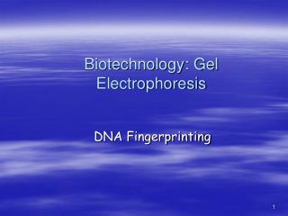 Biotechnology: Gel Electrophoresis
