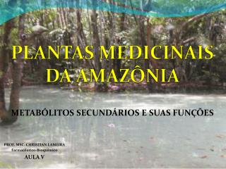 PLANTAS MEDICINAIS DA AMAZÔNIA