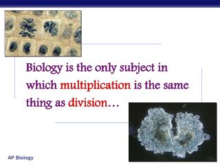 Biology is the only subject in which multiplication is the same thing as division …