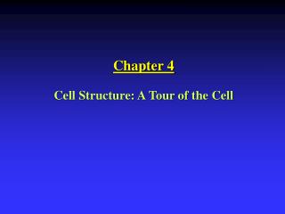 Chapter 4 Cell Structure: A Tour of the Cell