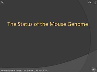 The Status of the Mouse Genome