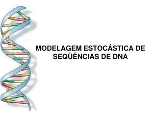 MODELAGEM ESTOCÁSTICA DE SEQÜÊNCIAS DE DNA