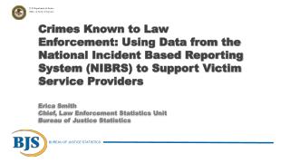 Establishing a statistical research program in victim services
