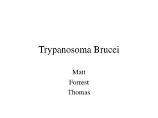 Trypanosoma Brucei