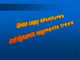 Union copy structures and dynamic segments tress