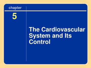 The Cardiovascular System and Its Control