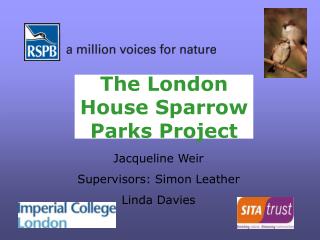 The London House Sparrow Parks Project
