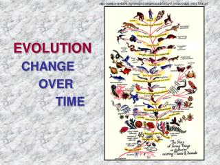 EVOLUTION CHANGE 		 OVER 		 TIME