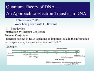 Quantum Theory of DNA— An Approach to Electron Transfer in DNA