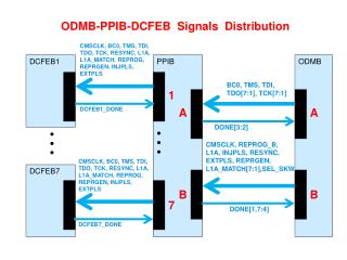 ODMB-PPIB-DCFEB Signals Distribution