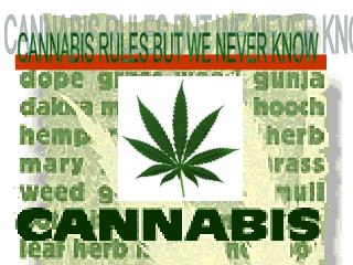 CANNABIS RULES BUT WE NEVER KNOW