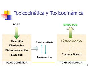 Toxicocinética y Toxicodinámica