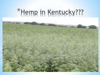 Hemp in Kentucky???
