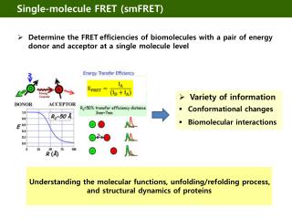 Single-molecule FRET ( smFRET )
