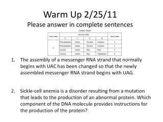 Warm Up 2/25/11 Please answer in complete sentences