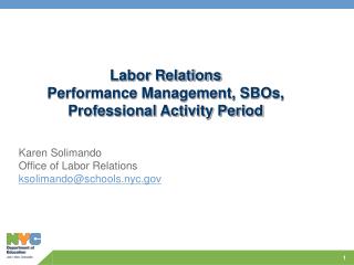 Labor Relations Performance Management, SBOs, Professional Activity Period