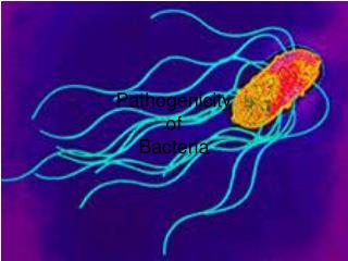 Pathogenicity of Bacteria