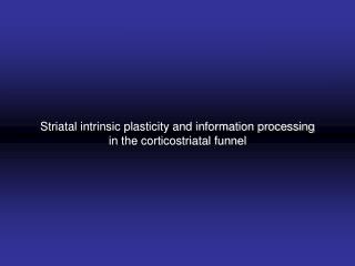 Striatal intrinsic plasticity and information processing in the corticostriatal funnel