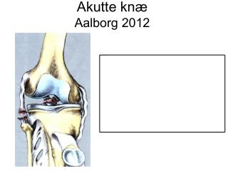 Akutte knæ Aalborg 2012