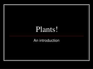 Plants!