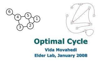 Optimal Cycle