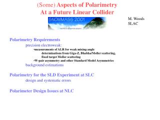 (Some) Aspects of Polarimetry At a Future Linear Collider