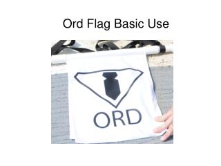 Ord Flag Basic Use