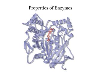 Properties of Enzymes