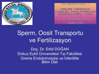 Sperm, Oosit Transportu ve Fertilizasyon