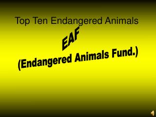 Top Ten Endangered Animals