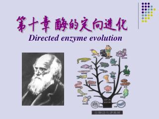 Directed enzyme evolution
