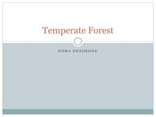 Temperate Forest