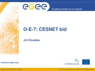 O-E-7: CESNET bid