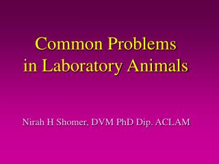 Common Problems in Laboratory Animals