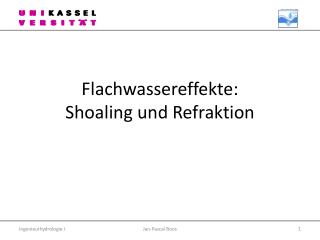 Flachwassereffekte: Shoaling und Refraktion