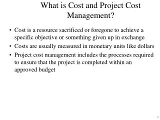 What is Cost and Project Cost Management?