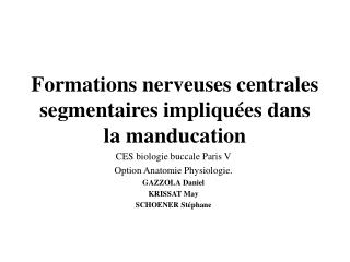 Formations nerveuses centrales segmentaires impliquées dans la manducation