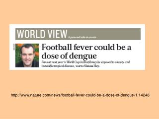 nature/news/football-fever-could-be-a-dose-of-dengue-1.14248