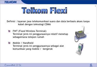 Telkom Flexi
