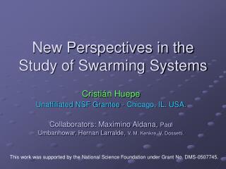 New Perspectives in the Study of Swarming Systems