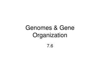 Genomes &amp; Gene Organization