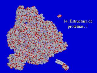 14. Estructura de proteínas, 1