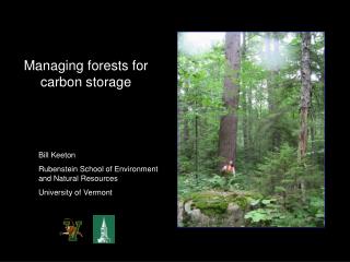 Managing forests for carbon storage