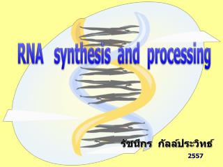 RNA synthesis and processing