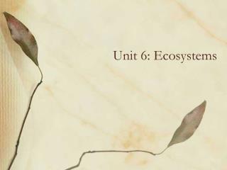 Unit 6: Ecosystems