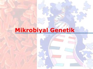 Mikrobiyal Genetik