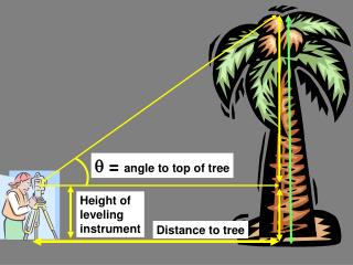  = angle to top of tree